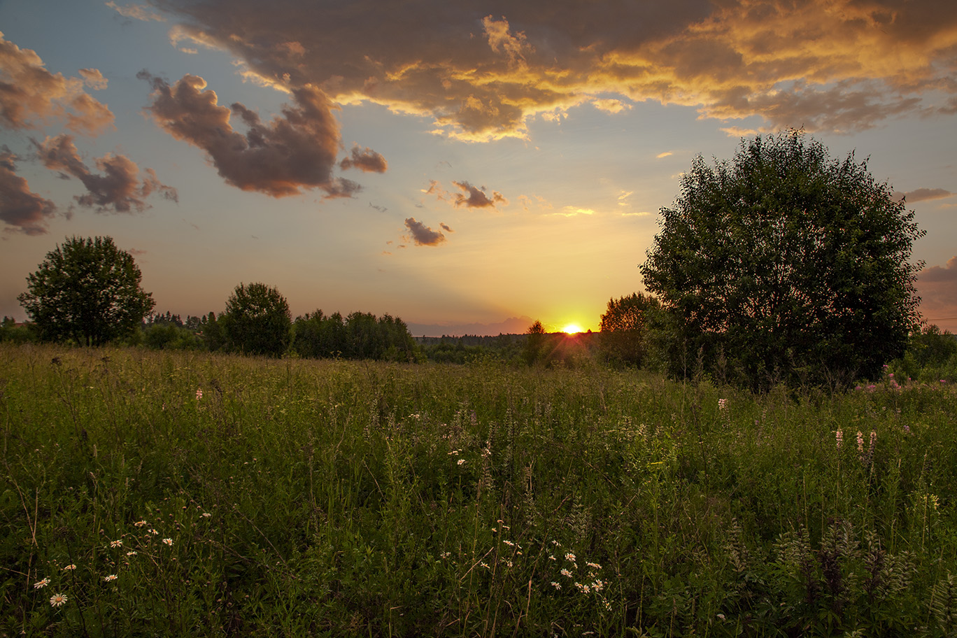 Фотосайт photocentra