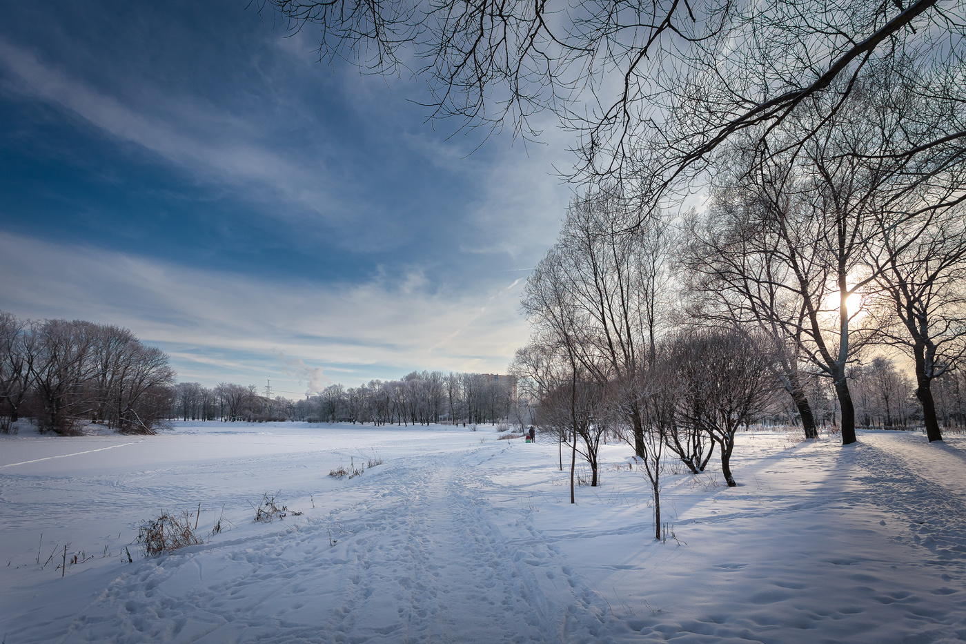 останкинский парк зимой