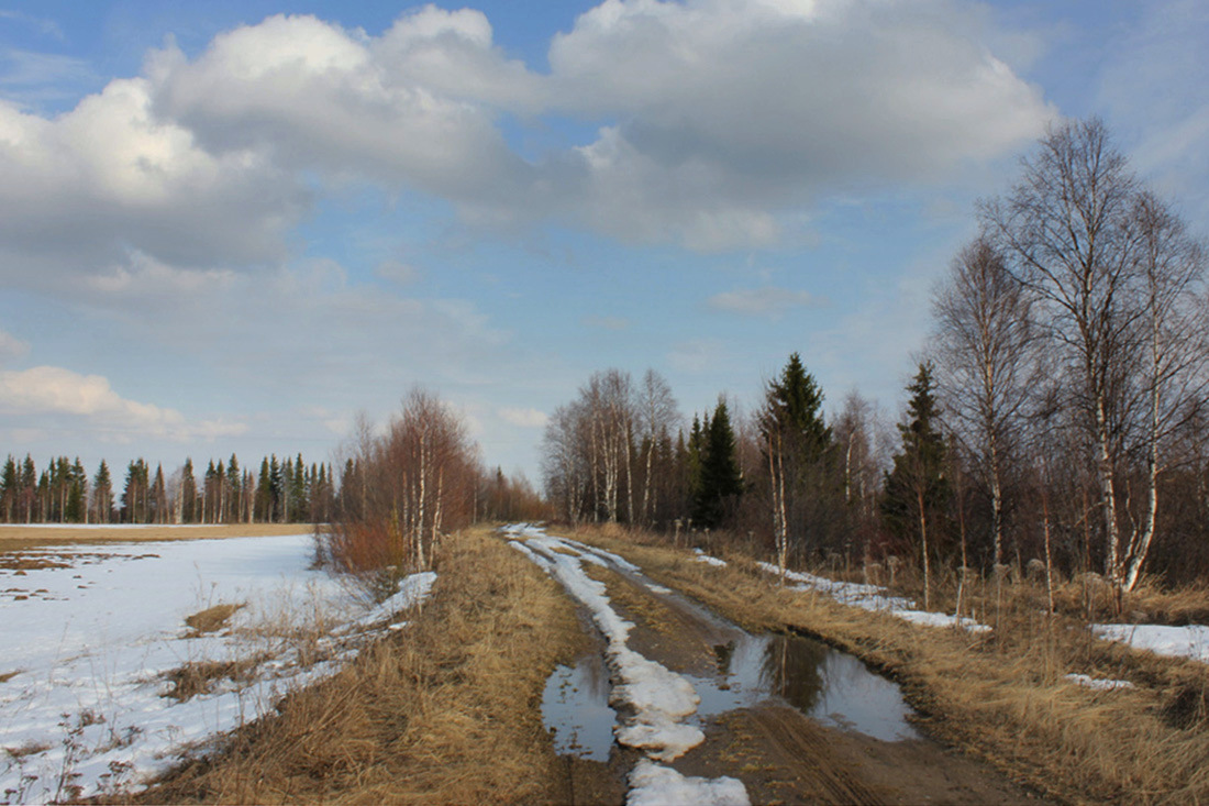 Сев весной. Апрель в Коми. Ранняя Весна дорога. Дорога ранней весной. Весна в Республике Коми.