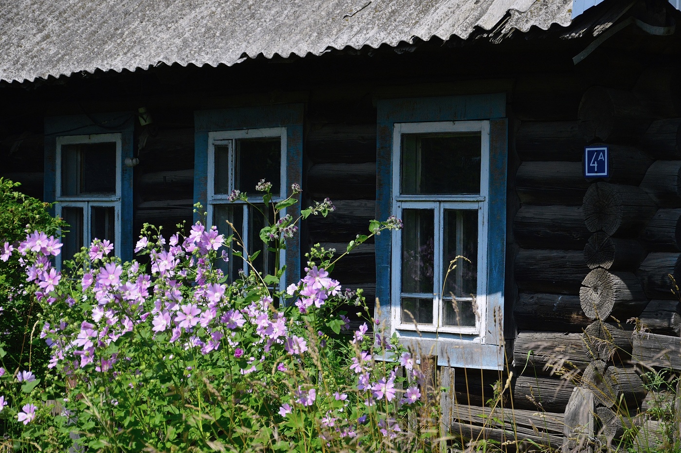 Церковище деревня Усвяты