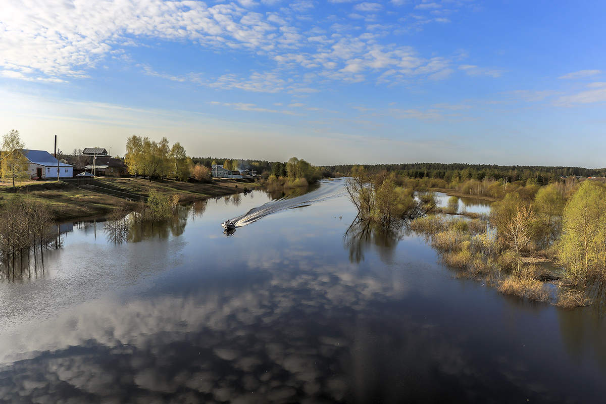 Разлив на реке Гусь / Весна 2023 года пришла раньше времени Река вышла из  берегов Раннее тихое утро, в реке отражаютсяоблака / Автор: Igor Egorov