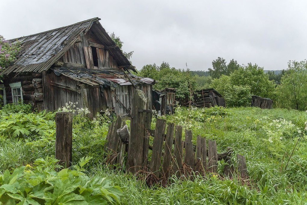 Картинки забытый дом