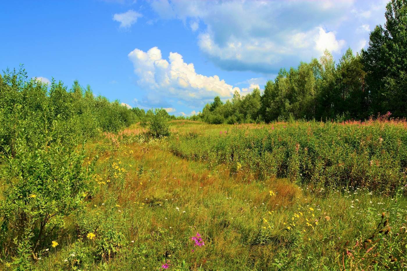 О лето красное любил. Лето красное. Ох лето красное. Лето красное фото.