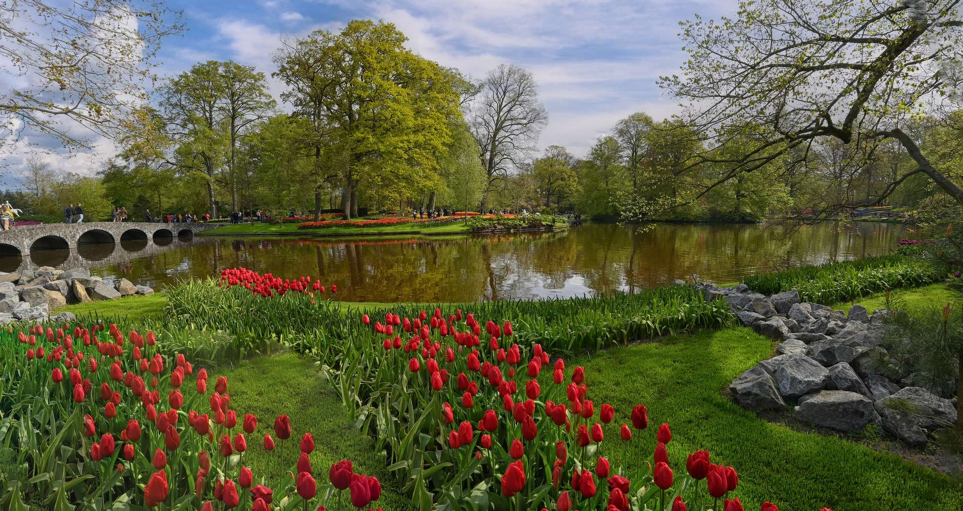 парк в голландии