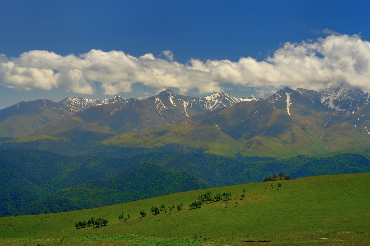 горы кавказа летом