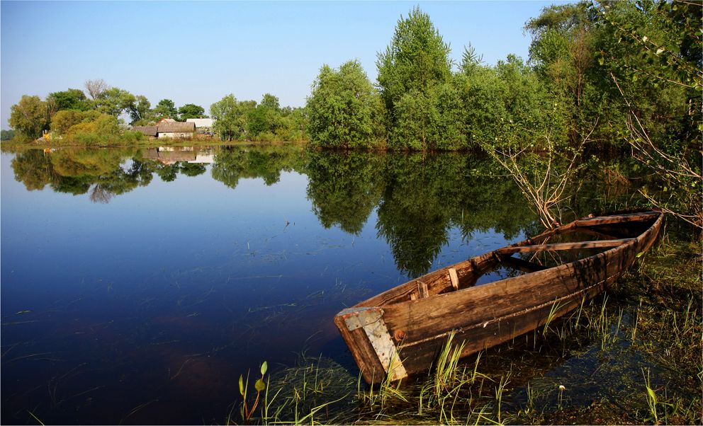 Река припять. Припять Беларусь. Река Припять в Беларуси. Туров Беларусь река Припять. Река Припять фото.