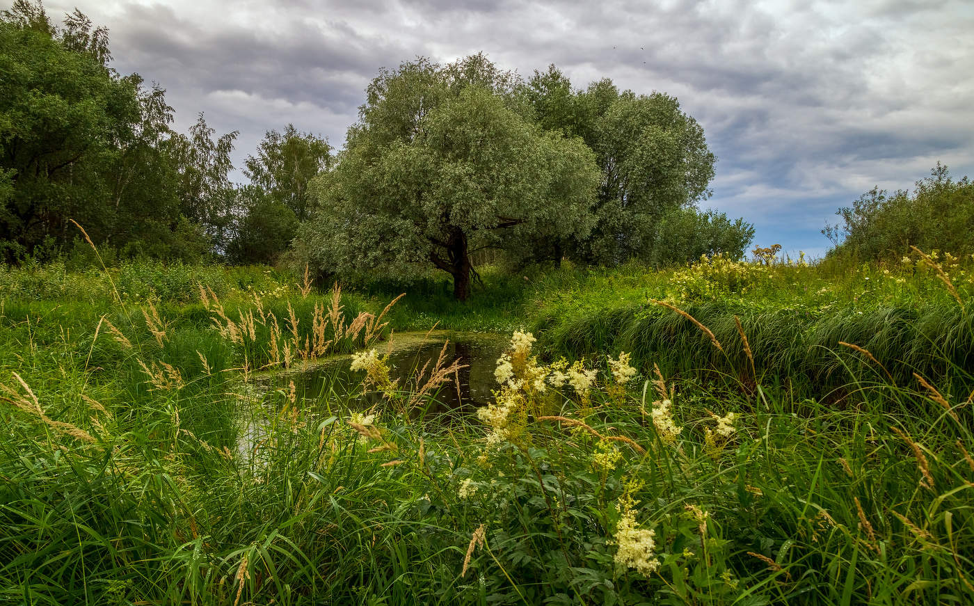 Фото на документы дрезна