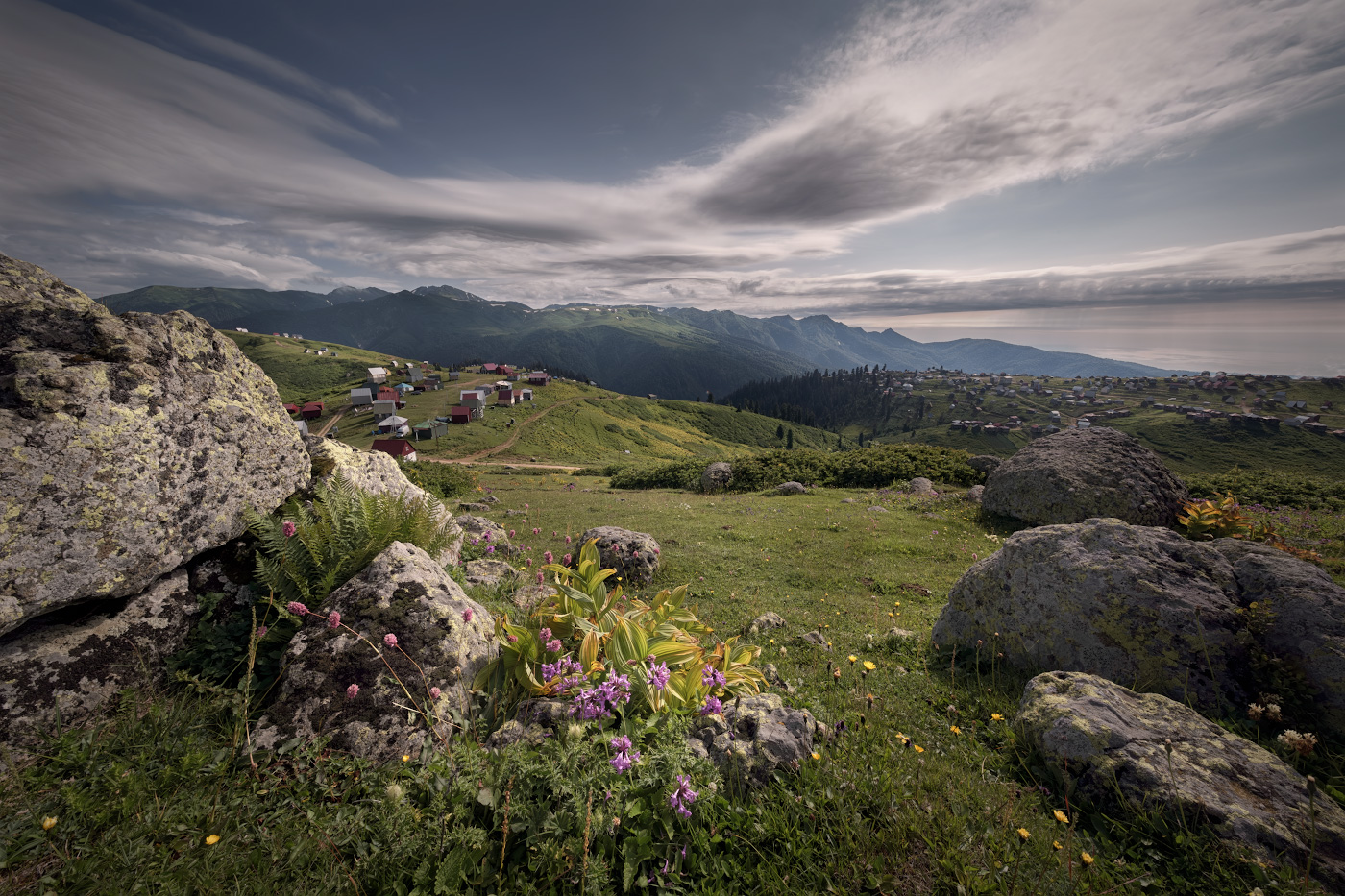 Alpine Meadows