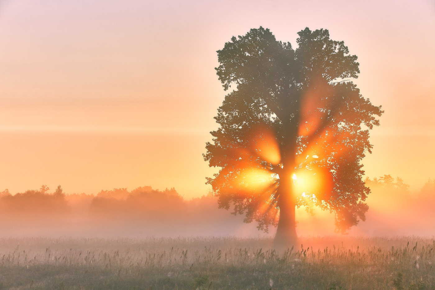 Рассвет 10 июля 2024. Озеро берег утро. Рассвет 10 июля 2024. Рассвет 10 июля 2024. Рассвет 10 июля 2024.