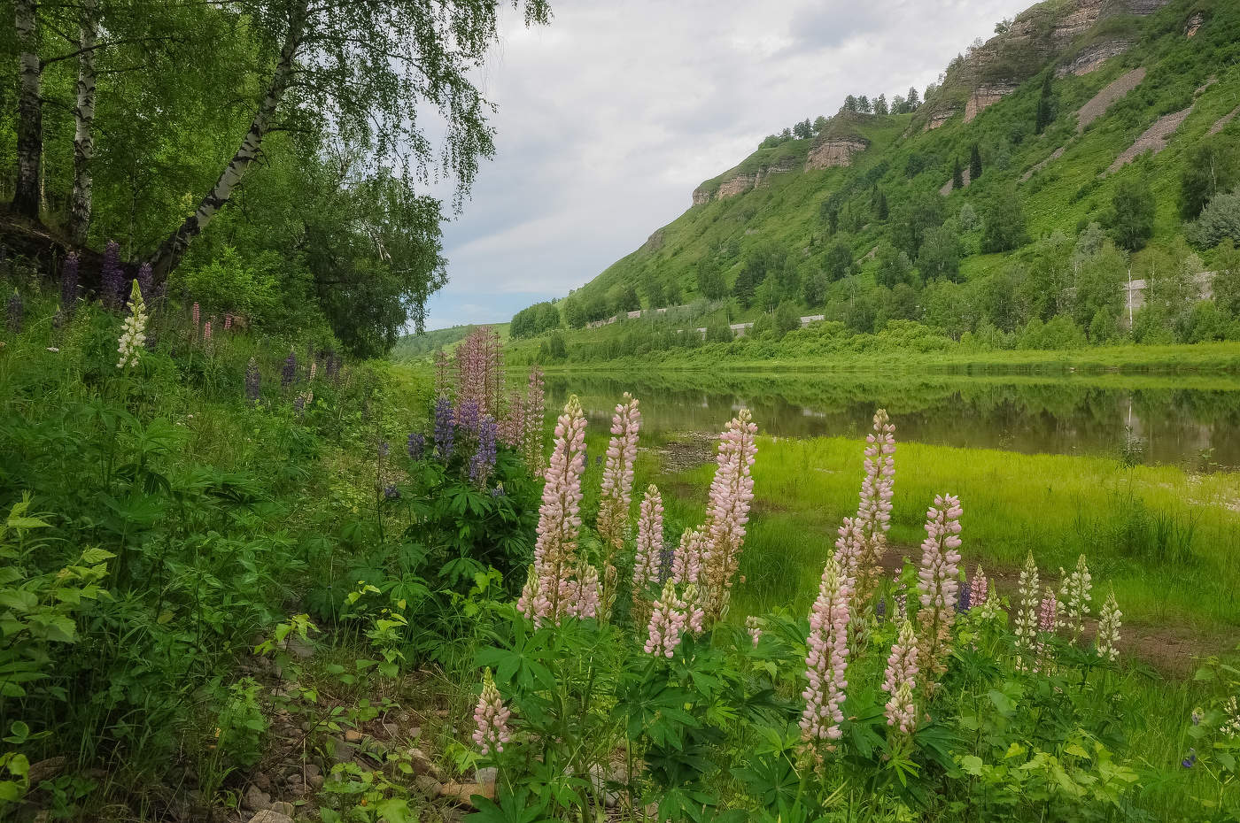 река в июле