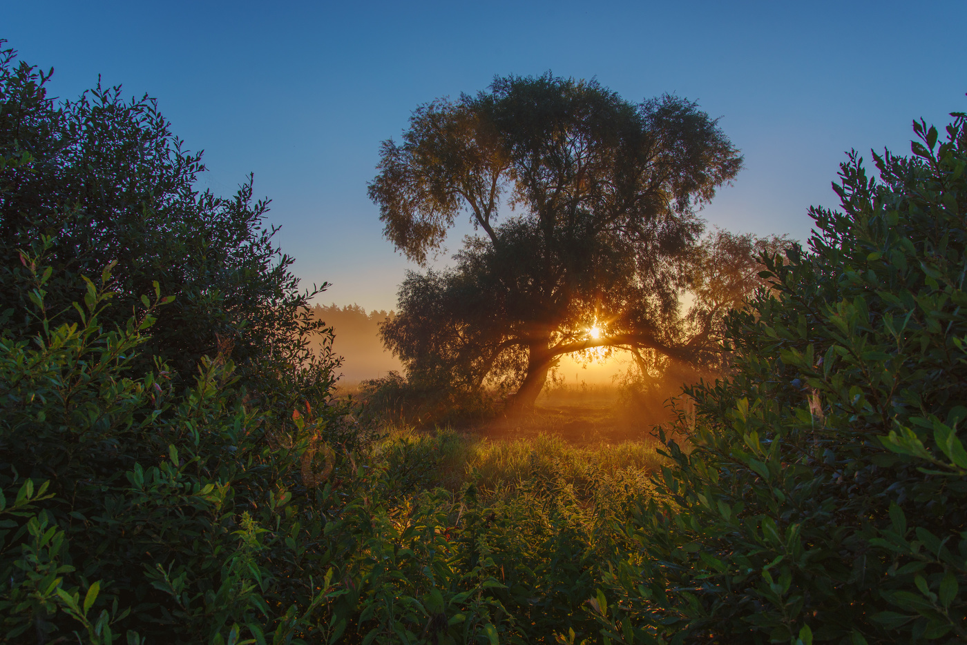 небо рассвет. заход солнца белгород. рассвет белгород. рассвет летом. серпухов монастырь закат.