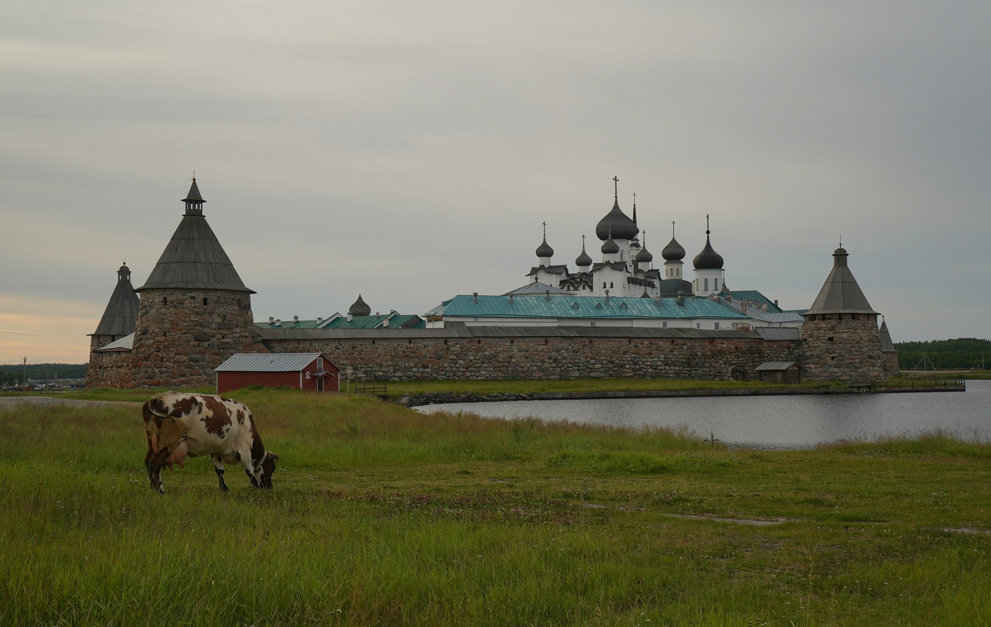 Соловки монастырь монах Сергий