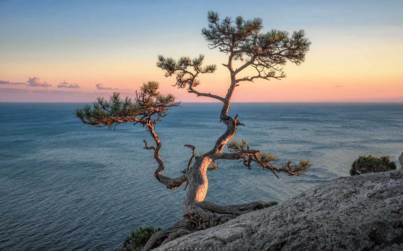 Крым сосны горы море Песчаное