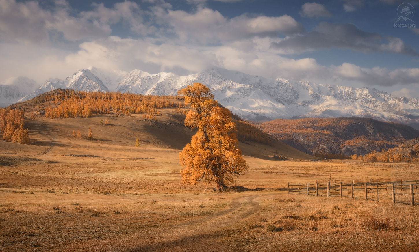 Курайская степь Алтай