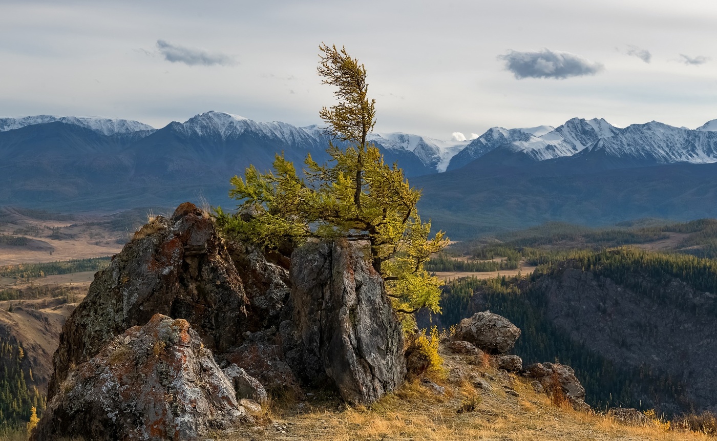 Северо Чуйский хребет поздняя осень