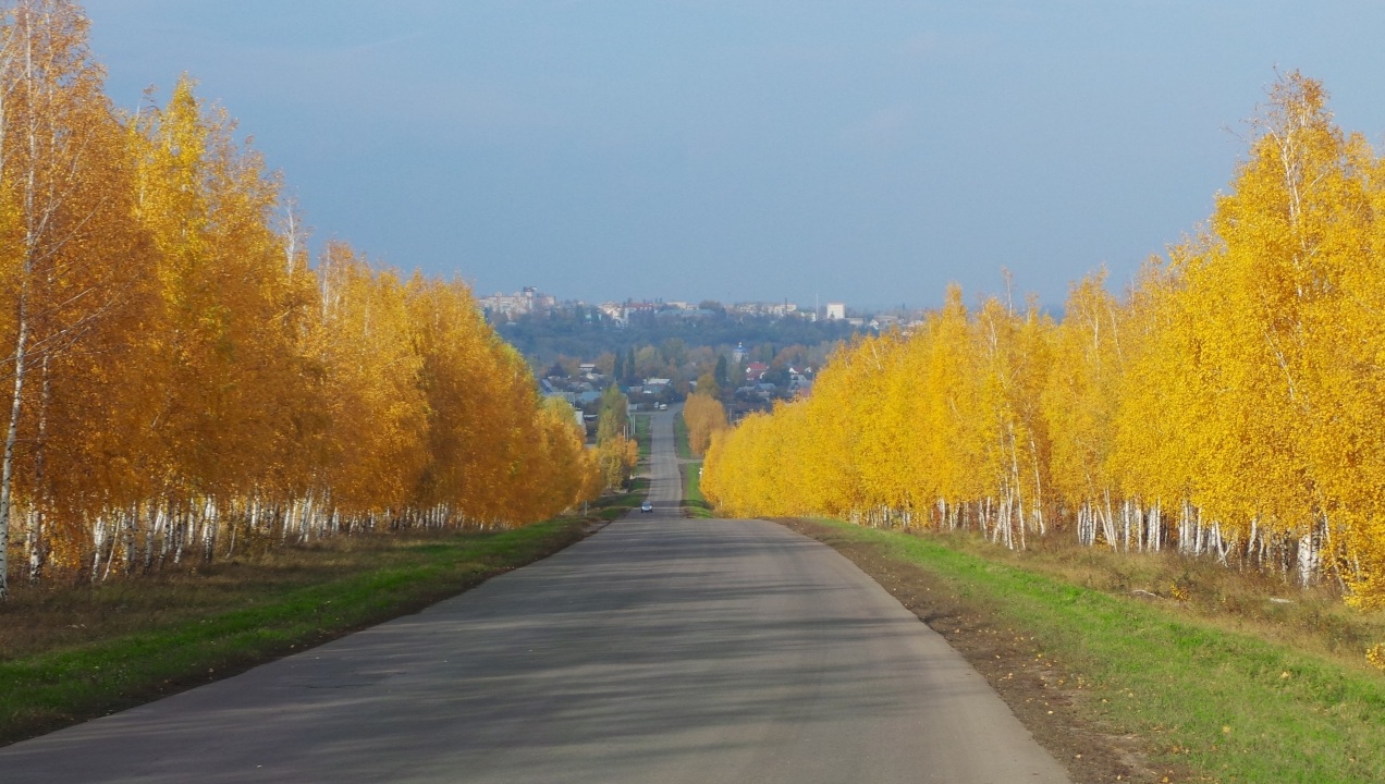 Дорога на ливны