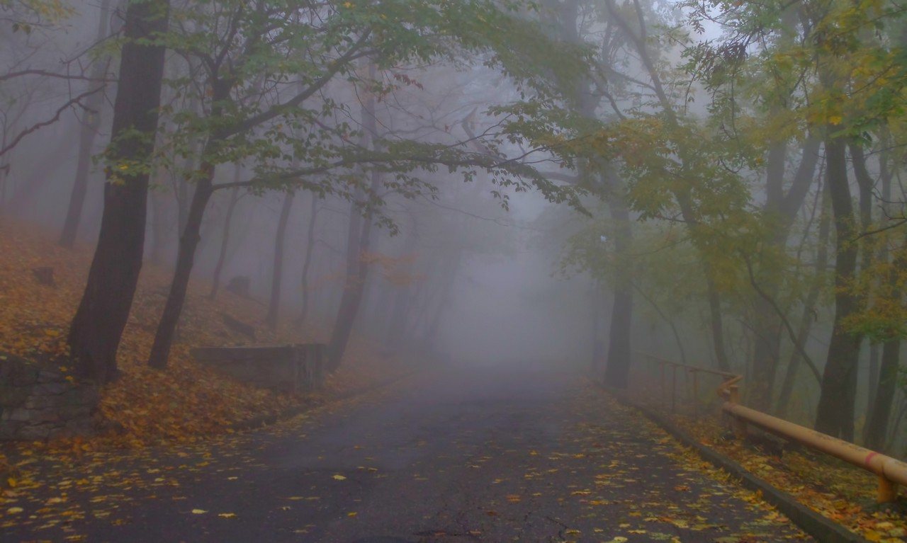 Железноводск в октябре фото