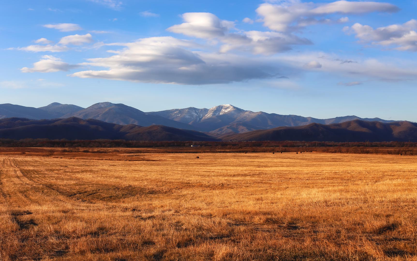 Равнины приморского края. Камчатка центральная низменность. Дальний восток сихотэ алинь. Равнины приморского края. Ханкайский природный заповедник приморский край.
