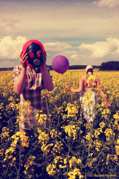 поле ванили. тоскана лавандовые поля. рапсовое поле. поле ванили. цветок ванили на фоне моря.