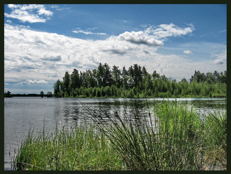 Г п озеро. Озера Витебской области. Озеро вельё. Тихое озеро. Природа, озера ГП Богушевска Витебской области.