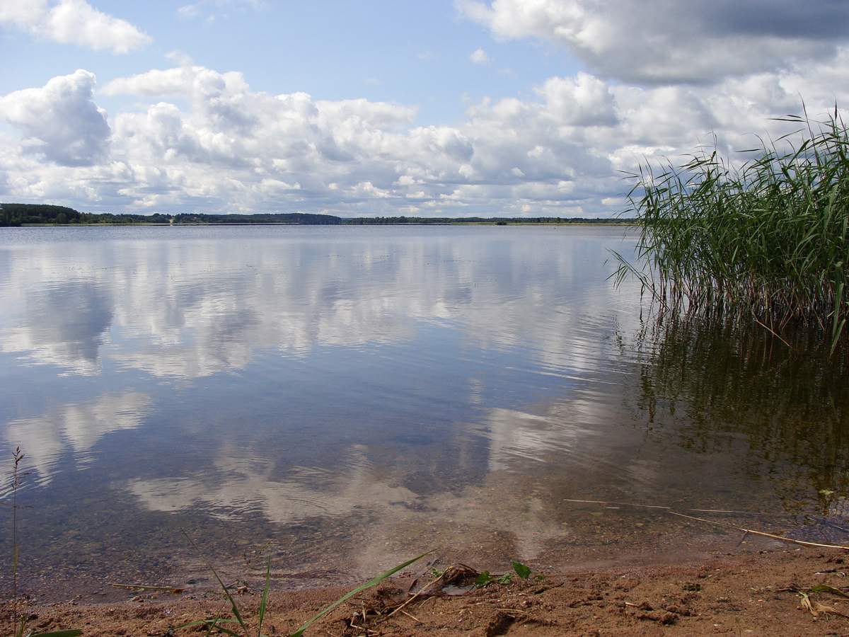 Нечерица озеро Себежского