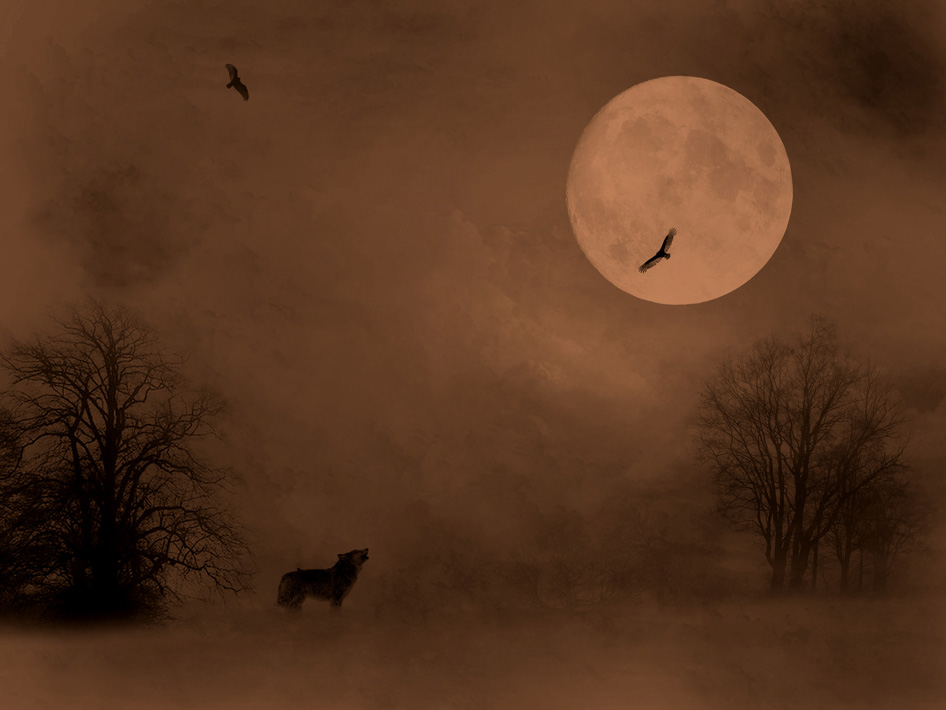 Луна туман песня. Луна в тумане. Полнолуние в тумане. Ночь туман Луна. Туманная Луна.