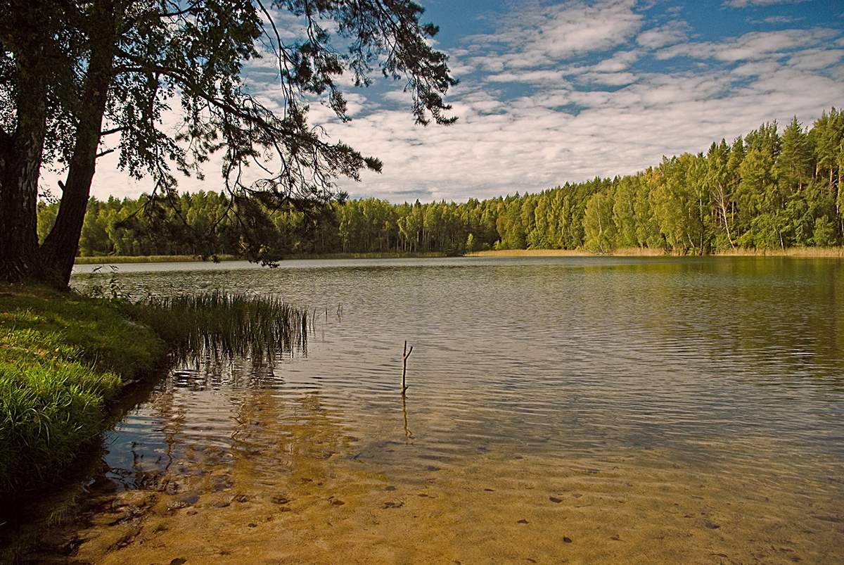 Озеро юг. Озеро Волосо Беларусь. Озеро Волосо Браславский район. Волосо Южное. Волос Южный озеро Беларусь.