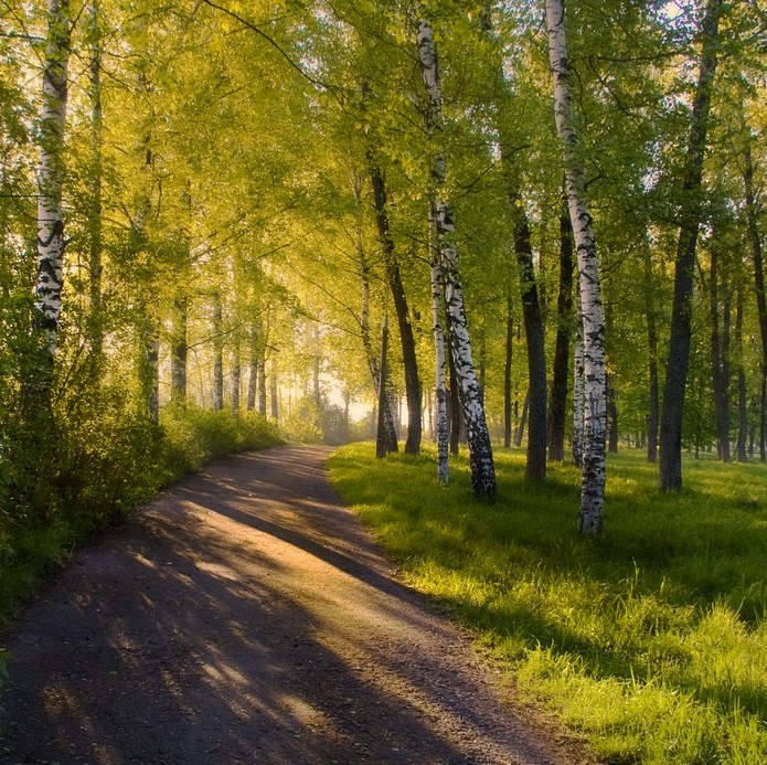 Майское солнце фото