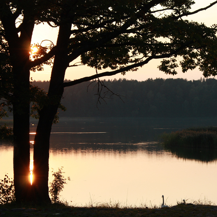 Тихий вечер закат. Тихий вечер. Вечер на озере белом. Тихий вечер фото. Тихий вечер от комаров.
