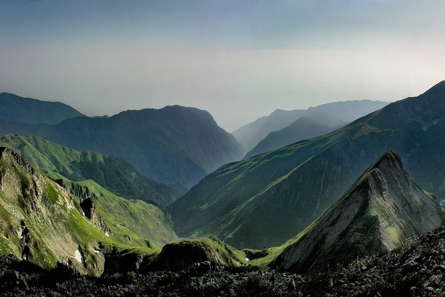 Гора арабика в абхазии фото