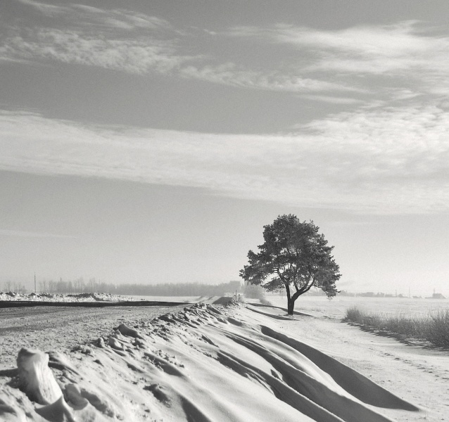 Которую неделю метут. Которую неделю метут. Которую неделю метут метели. Стихотворение про февраль. Стихи про метель.