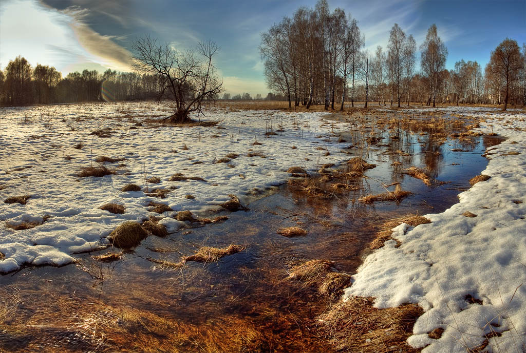 Изображение весенних ручьев