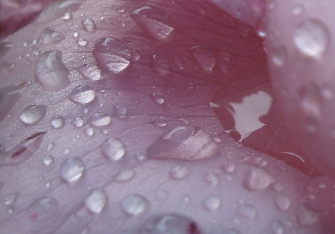 Розовый дождик для фотозоны. Розовая капля. Дождевик-плащ cloudtime, синий. Женщина в дождевике. Розовый дождь.