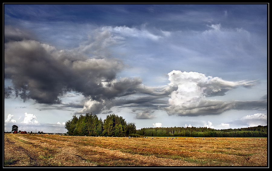 Фото к стихотворению