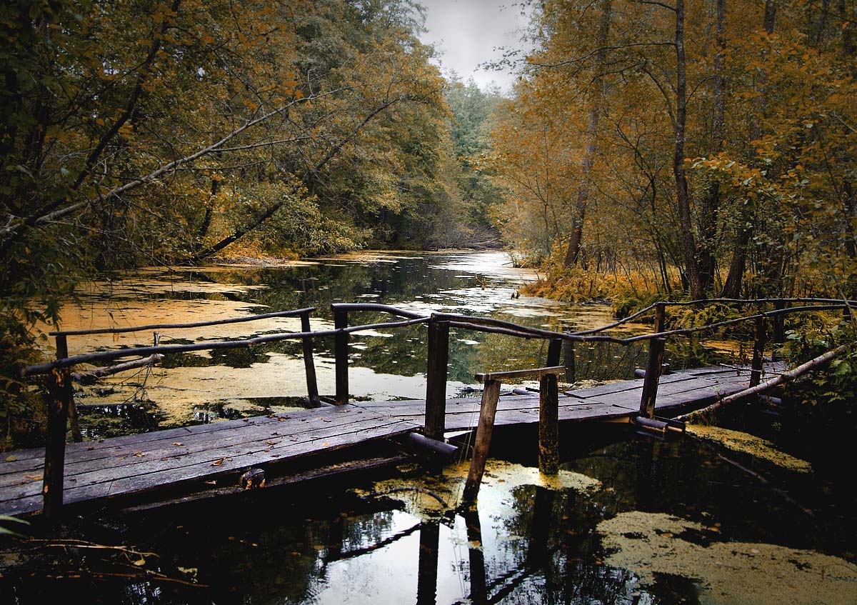 У реки на бережок лег