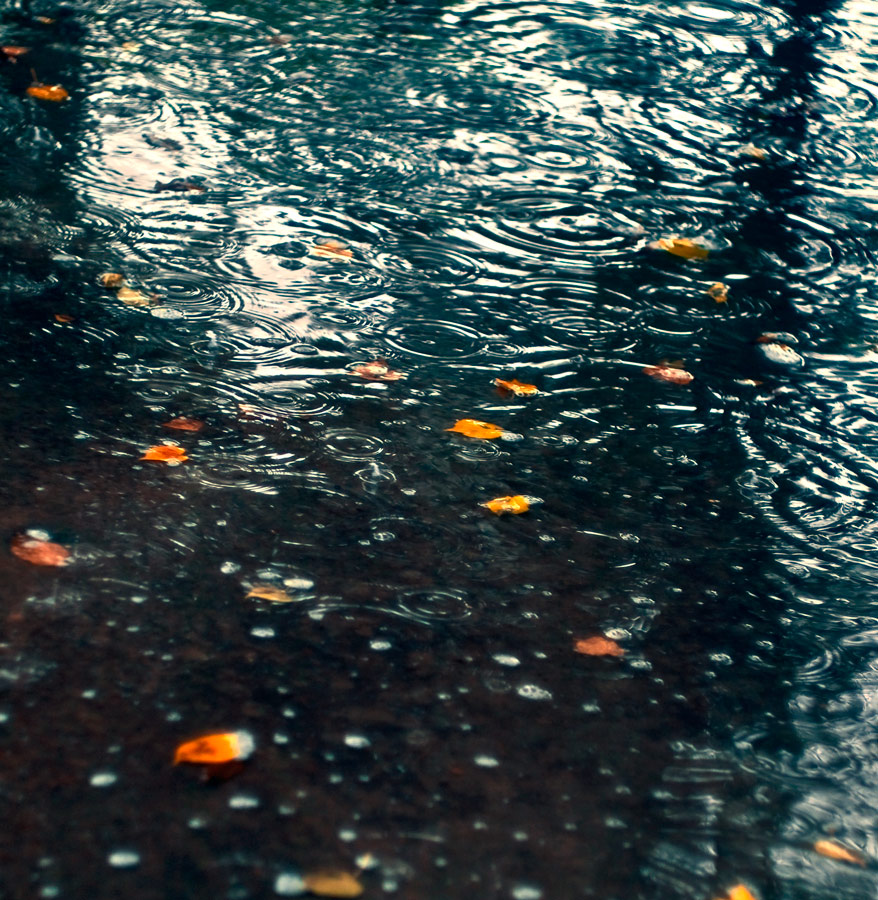 Дождик крупный. Ливень. Красивый дождь. Сильный дождь. Дождь картинки.