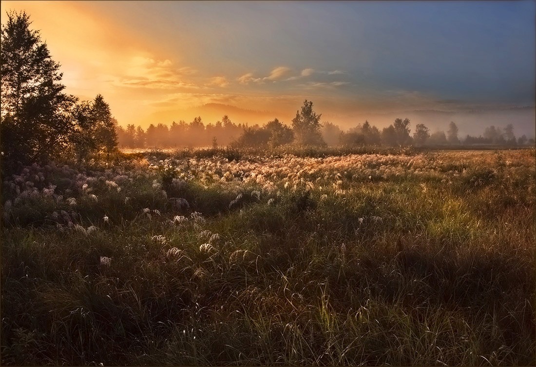 На заре. Заря. Аре.