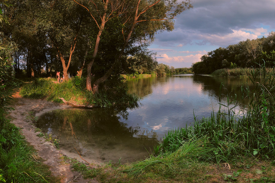 Заводь реки фото