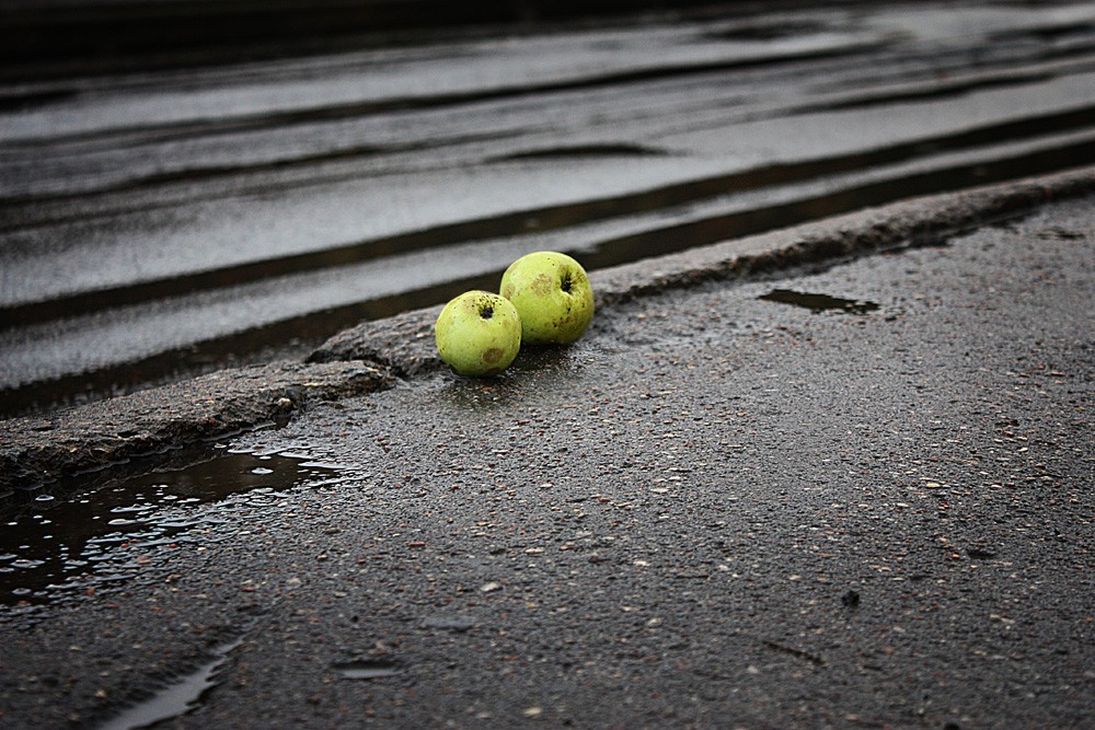 Замечены яблоки. Яблоко на дороге. Яблоки на асфальте. Яблоки дождь. Яблочный дождь в Англии.