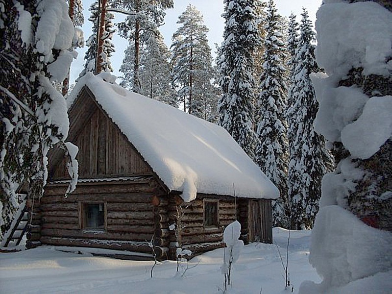 Картинки Изба В Лесу