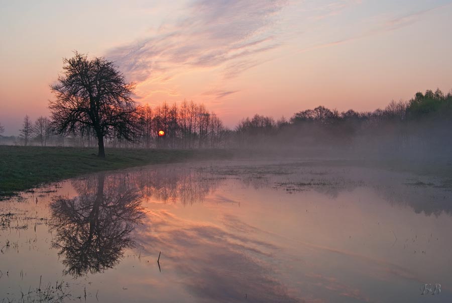 April morning. Апрель утро туман. Утро апрель. Апрельское утро. «Утро в разливе».