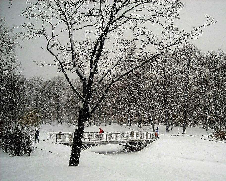 Парк имени бабушкина в санкт петербурге зимой