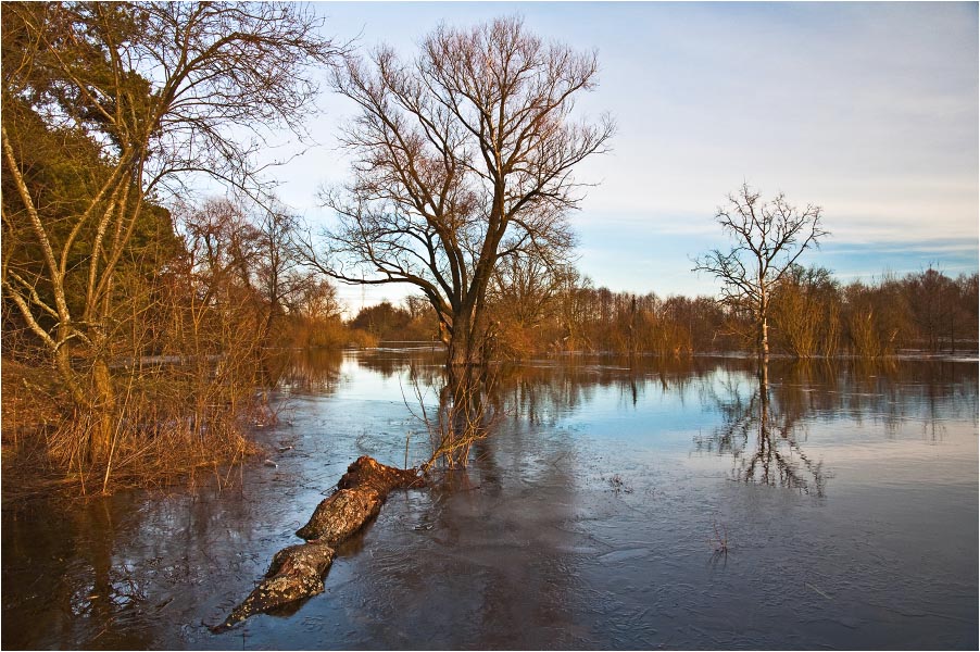 Река разливалась широченным озером с поросшими. Река разлилась. Разлив реки у деревни Темниково.