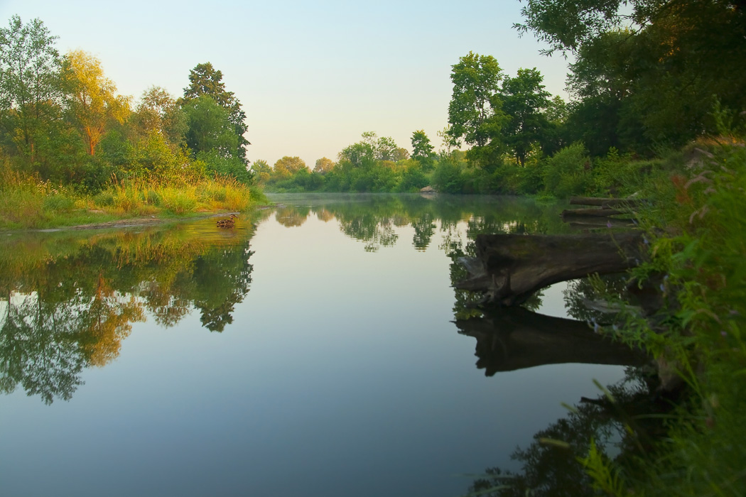 Russian river. Тихая река. На речке. Летний пейзаж Тихая река. Русская река.