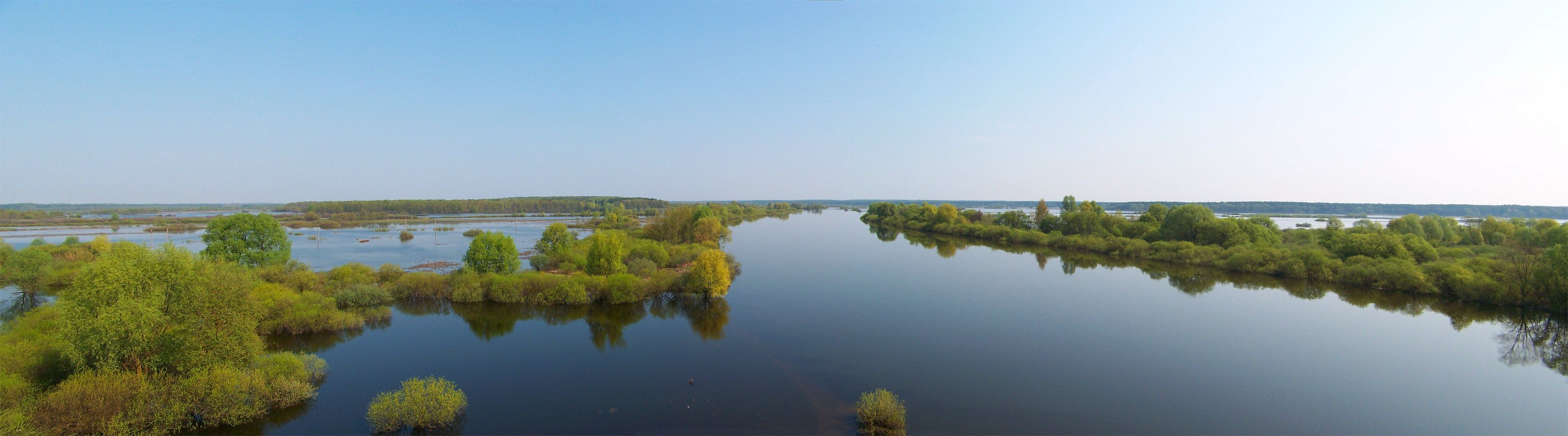 Уровень воды в днепре могилев сегодня. Могилев река Днепр. Река Днепр в Беларуси. Разлив Днепра в Могилеве 2023. Уровень Днепра в Могилеве.