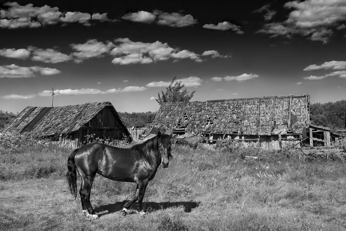 Фото реверанса прикольное