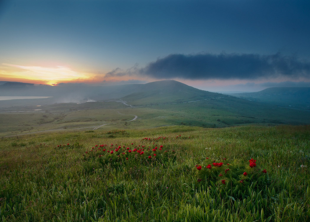 Пион священная гора фото