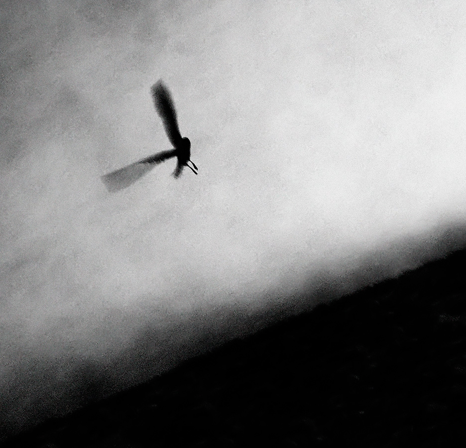 Девушка летает. Свобода в движении надписи. Иллюзия полета. Летающий человек. Девушка в полете.