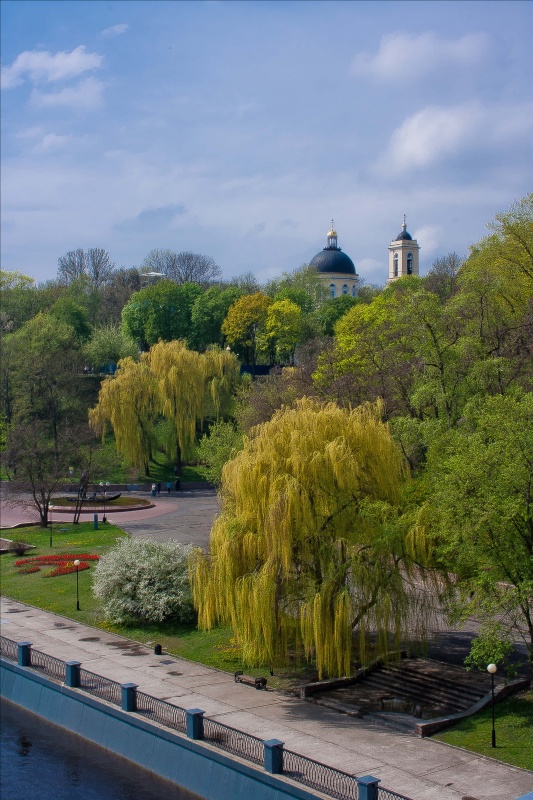 Фото гомельского парка