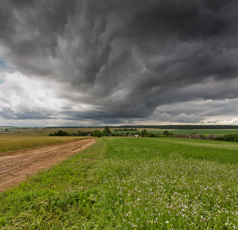 Фото в дождь в деревне